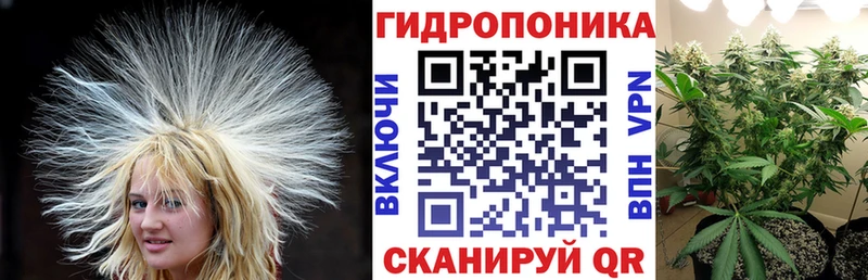 Где можно купить наркотики Козьмодемьянск ГАШ  Канабис  Меф 