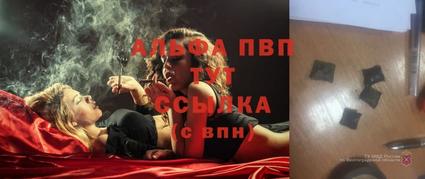 Альфа ПВП Белокуриха