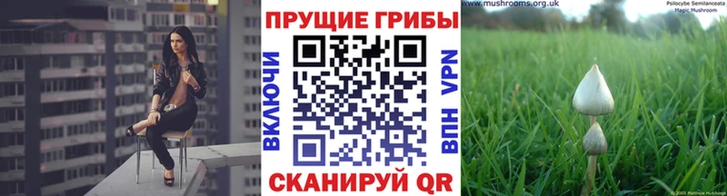 Псилоцибиновые грибы мухоморы  Козьмодемьянск 